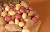 Hoe bewaart u aardappelen in een papieren zak