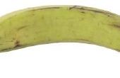 Biologische bananen zullen niet rijpen