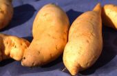 How to Grow van zoete aardappelen