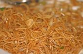 Hoe ter vervanging van Pasta Noodles van Chinese noedels