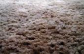 How to Install schuim gesteund tapijt
