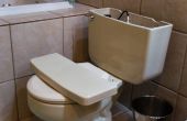 Het gebruik van vloeibare loodgieter op verstopte Toilet