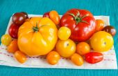De beste tomaten voor lage zuur