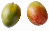 Wat te doen als een Mango Tree doet niet produceren Fruit