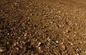 De eerlijke projecten van de wetenschap op verschil tussen zand & Potting Soil waterabsorptie