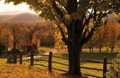 Vakantiehuis de middelpunt van de belangstelling: Het vinden van vrede in de heuvels van Vermont