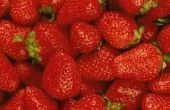 How to Grow ondersteboven aardbeien
