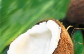 Het gebruik van ongeraffineerde kokosolie ter voorkoming van vroegtijdige veroudering
