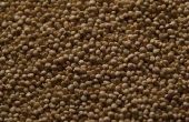 Hoe om te bakken met Quinoa
