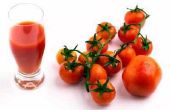De beste tomatenplanten voor SAP