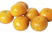 Hoe weet u of mandarijnen zijn rijp op een boom