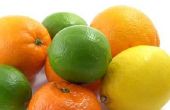 Het gebruik van citroenzuur als conserveermiddel