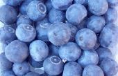 Hoe te bevriezen Blueberry Pie vulling