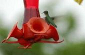 Hoe lang moet ik Hummingbird voedsel weglaten?