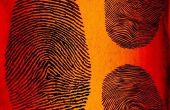 Soorten biometrische authentificatie