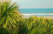 Florida All Inclusive Resorts aan de Oceaan