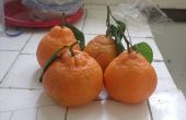 Hoe bewaart u mandarijnen