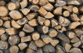 Hoe te beginnen een bedrijf brandhout
