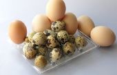 Hoe Vervang eieren in pannenkoeken
