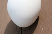 Hoe maak je een zelfgemaakte Bouncy bal gemaakt van een ei
