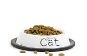 Lijst van voedingsmiddelen slecht voor katten