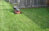 Hoe vaak moet je de messen van de grasmaaier verscherpen?