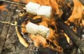 How to Turn oude kranten in Fire Starters, brand Logs of Fire stenen