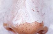 Hoe te verminderen van de verschijning van grote poriën op de neus