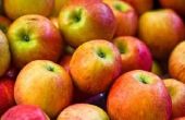 Hoe weet u of appelen zijn Moldy