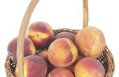 Wat zijn de verschillende soorten perziken?