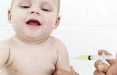 Moeten kinderen worden ingeënt komt in kerk kwekerijen?