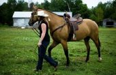 Soorten banen op een paard Ranch