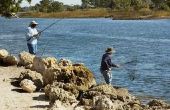 Hoe om te vissen naar zalm op de Sacramento River