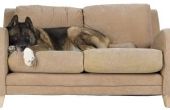 Welk cijfer van weefsel zou worden goed om te Reupholster een familiekamer Couch?