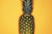 Hoe leg een knoopje ananas