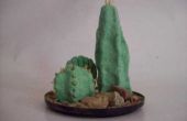 Hoe maak je een nep Cactus