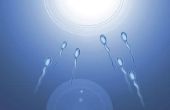 Hoe u kunt helpen sperma langer leven