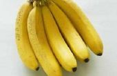 Hoe bewaart u bananen langer