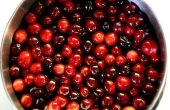 Hoe Drink Cranberry sap om een Staph Infection