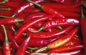 Gezondheidsvoordelen van Cayenne peper