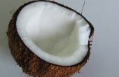 Hoe te te nemen ruwe kokosolie