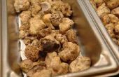 How to Grow witte truffels
