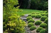 Doe het zelf goedkoop en gemakkelijk Backyard Landschappelijk oplossingen voor steile met gras begroeide heuvels