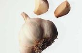 How to Grow knoflook thuis