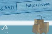 Wat zijn de 2 belangrijkste categorieën van E-Commerce Websites?