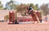 Hoe te leren uw paard de Flying Lead wijzigen