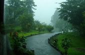 Wat Is het weer in juni in Costa Rica?