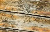 Hoe antieke en nood hout
