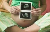 Hoe lees ik de Codes op een foetale echografie