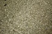 Hoe te verzegelen van oude betonnen vloeren